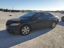 Salvage cars for sale at Arcadia, FL auction: 2008 Toyota Camry CE