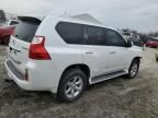 2012 Lexus GX 460