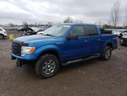 Salvage cars for sale at London, ON auction: 2009 Ford F150 Supercrew