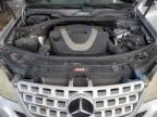 2011 Mercedes-Benz ML 350