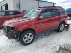 Salvage cars for sale at Central Square, NY auction: 2010 Ford Escape XLT