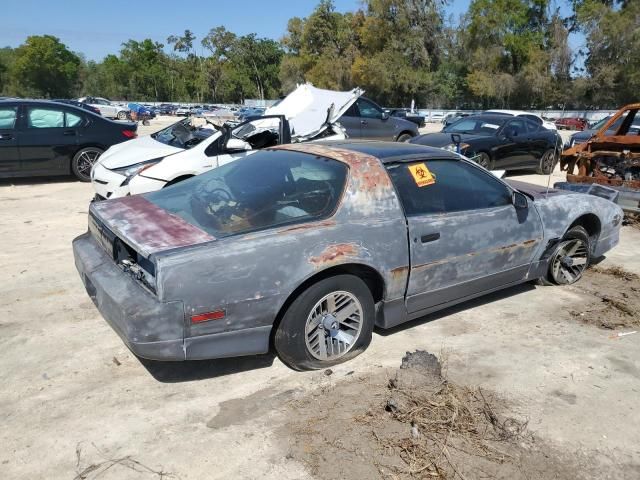 1989 Pontiac Firebird Trans AM