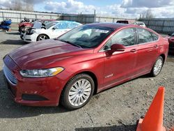 Salvage cars for sale at Arlington, WA auction: 2014 Ford Fusion SE Hybrid