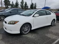 Salvage cars for sale from Copart Rancho Cucamonga, CA: 2008 Scion TC