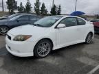 2008 Scion TC