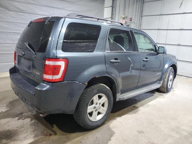 2009 Ford Escape Hybrid