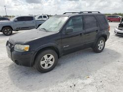 Salvage cars for sale at Arcadia, FL auction: 2007 Ford Escape HEV