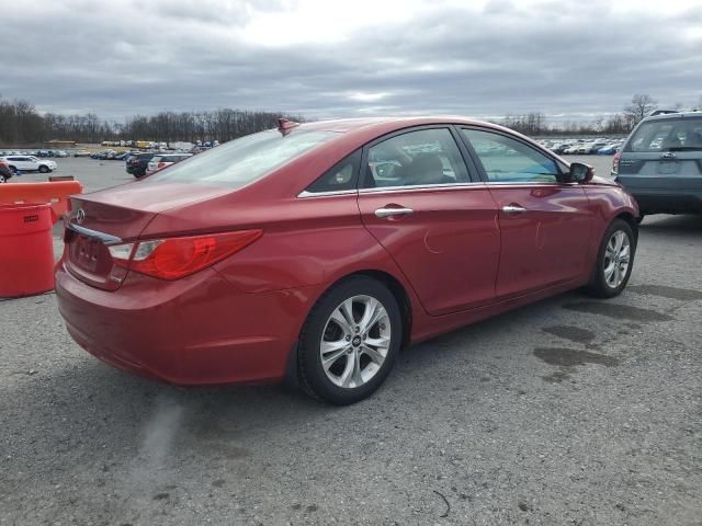 2013 Hyundai Sonata SE