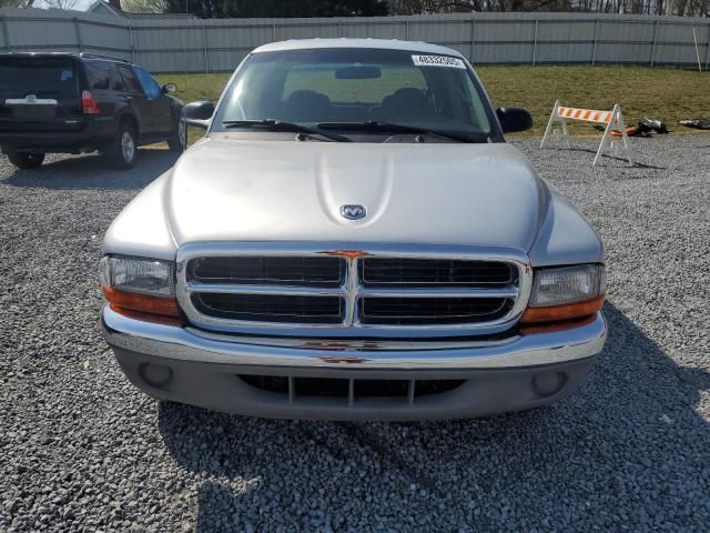 2001 Dodge Dakota Quattro