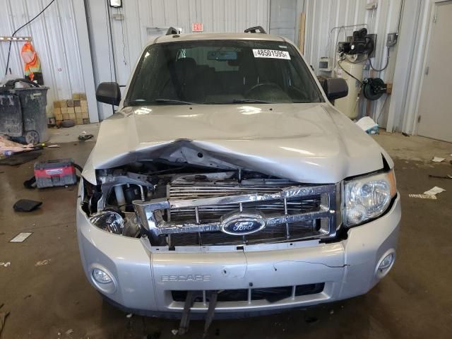 2009 Ford Escape XLT