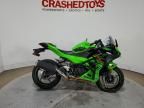 2024 Kawasaki EX500 A