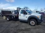 2013 Ford F550 Super Duty