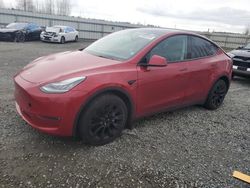 Salvage cars for sale at Arlington, WA auction: 2021 Tesla Model Y