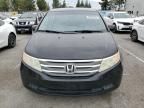 2011 Honda Odyssey EXL