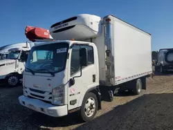 Salvage trucks for sale at Brookhaven, NY auction: 2016 Isuzu NQR