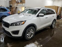 KIA Sorento lx salvage cars for sale: 2016 KIA Sorento LX