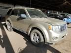 2011 Ford Escape XLS