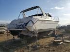 1995 Sea Ray Boat