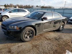 Salvage cars for sale at Pennsburg, PA auction: 2013 Dodge Charger Police