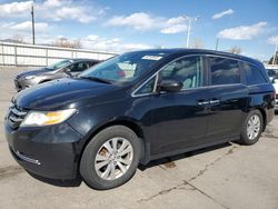 Salvage cars for sale at Littleton, CO auction: 2015 Honda Odyssey EXL