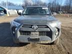 2024 Toyota 4runner SR5/SR5 Premium