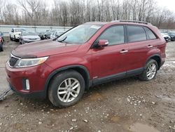 Salvage cars for sale at Louisville, KY auction: 2015 KIA Sorento LX