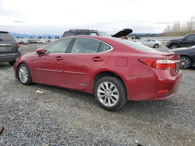 2014 Lexus ES 300H