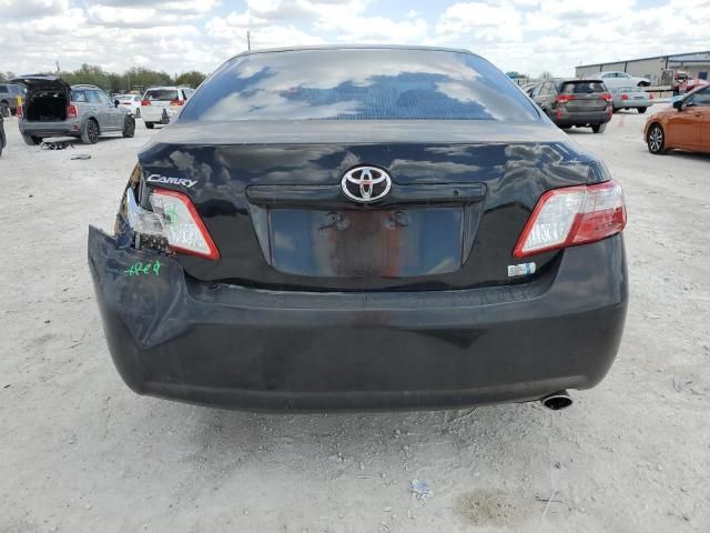 2009 Toyota Camry Hybrid