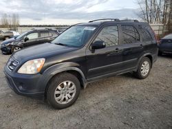 Salvage cars for sale at Arlington, WA auction: 2005 Honda CR-V EX