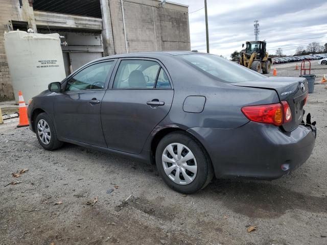 2010 Toyota Corolla Base