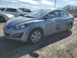 Salvage cars for sale at East Granby, CT auction: 2016 Hyundai Elantra SE