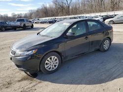 Salvage cars for sale at Ellwood City, PA auction: 2013 KIA Forte EX