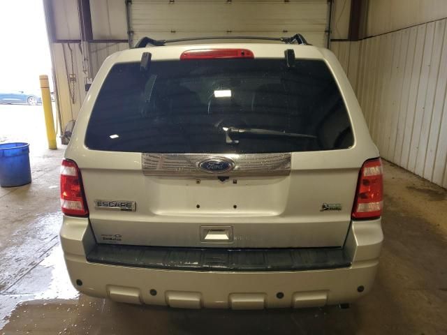 2010 Ford Escape Limited