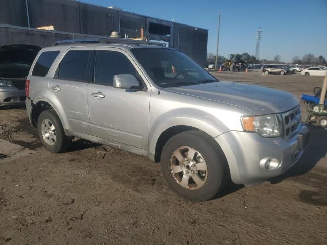 2009 Ford Escape Limited