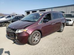 Honda Odyssey ex salvage cars for sale: 2013 Honda Odyssey EX