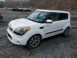 Salvage cars for sale at Marlboro, NY auction: 2013 KIA Soul +