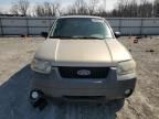 2007 Ford Escape XLT