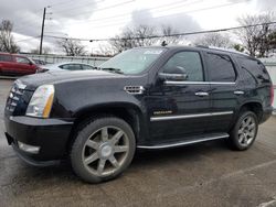 Clean Title Cars for sale at auction: 2007 Cadillac Escalade Luxury