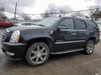 2007 Cadillac Escalade Luxury