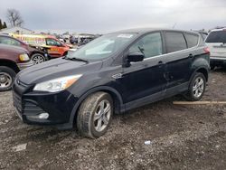 Salvage cars for sale from Copart Cicero, IN: 2016 Ford Escape SE