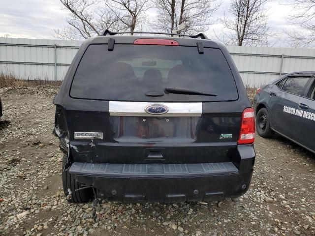 2012 Ford Escape Limited