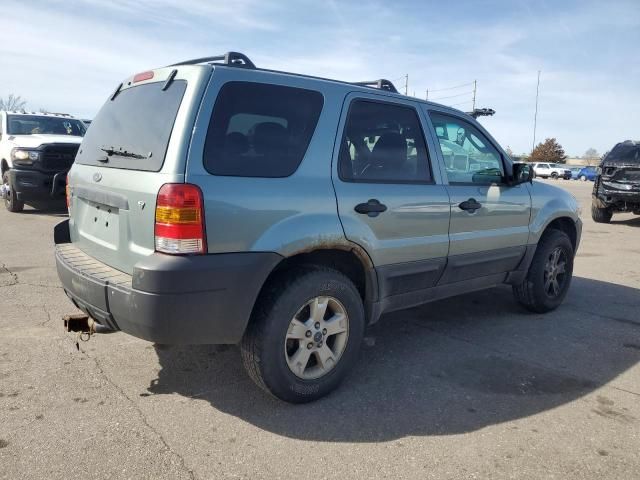 2006 Ford Escape XLT