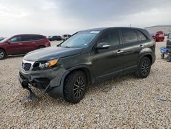 Salvage cars for sale at Taylor, TX auction: 2013 KIA Sorento LX