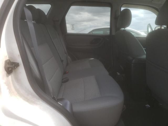 2007 Ford Escape XLT