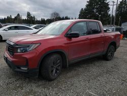 Honda salvage cars for sale: 2021 Honda Ridgeline Sport