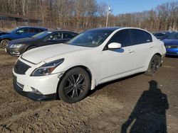 Salvage cars for sale at Baltimore, MD auction: 2013 Infiniti G37