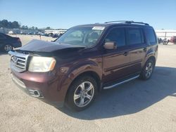 2013 Honda Pilot EXL en venta en Harleyville, SC