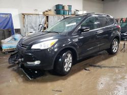 Salvage cars for sale at Elgin, IL auction: 2013 Ford Escape SEL