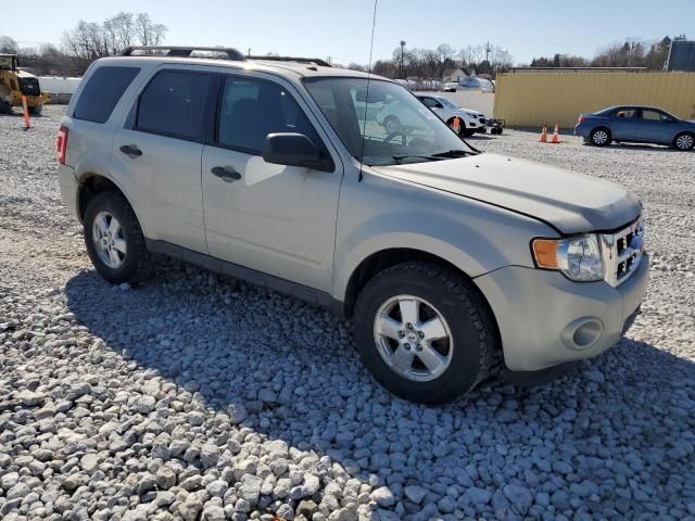 2009 Ford Escape XLT