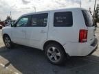 2014 Honda Pilot EXL